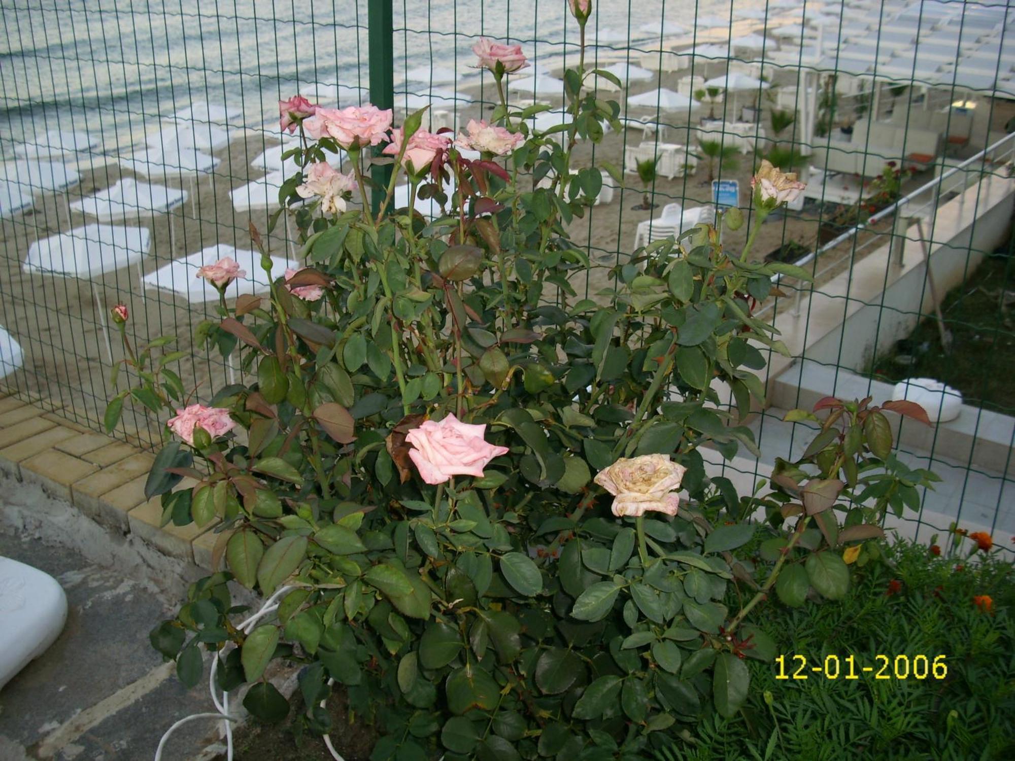 Barex Family Hotel Sozopol Luaran gambar